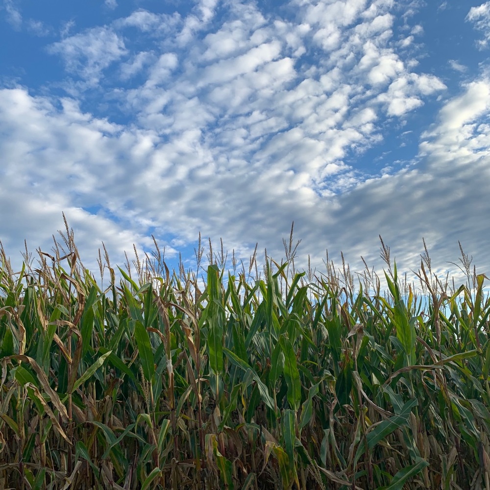 Announcement ab my closet!